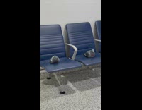 Two pigeons sitting on chairs at baggage claim