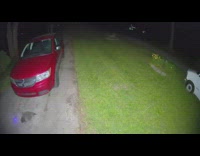 Collab DailyDoseOfInternet - Raccoon follow laser backyard night red car