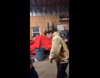 Guy falls after getting slapped 