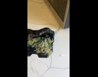 Collab ClipsIG - Lady failed putting the food in microwave