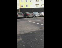 Two squirrel run and chases each other on the parking lot