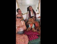 Brown dog sits red pillow girls dance 