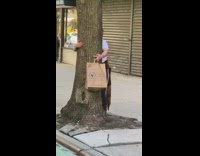 Lady hugs and talks to tree sidewalk 