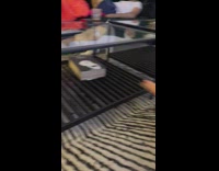 White dog run around tables girl arm