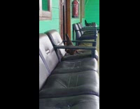 Chicken scratch its claw on black chair