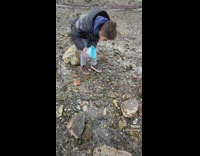 Little girl dancing rock with crab under it 
