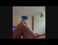 Dog attacks the mushroom toy in bed