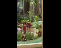 Man red tank top champagne shower mini gazebo Part 2