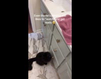 Woman getting ready accompanied by blind pet cat 