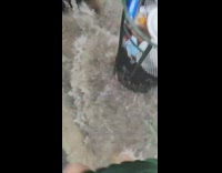 Water creates flooding on sidewalk 