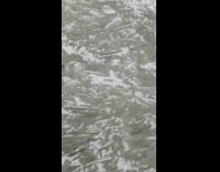 Frozen lake upward ice shards asmr windy