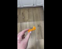 Dog couldnt tell difference between cheeto and carrot 