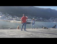 Woman slowly walk to the seal for a picture