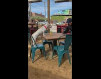 Dog poses with margarita outside restaurant 