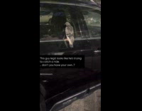 Pigeon perching on cars belt molding