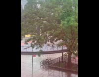 Shirtless guy punches kicks air at park