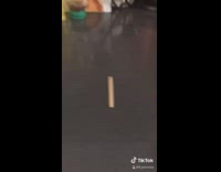 Collab BitchMP - How to kill a mosquito