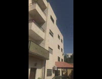 Lot of birds fly over the houses outside the street 