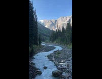 Creek river between trees in the mountain
