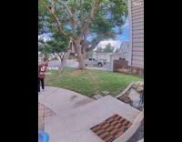 Little kid answers door about escaped dog 