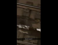 Guy sees dropped money on train tracks 