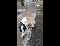 Collab BitchIG2 - Toddler walking dog on sidewalk 