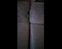 Ferret climb out from inside of couch