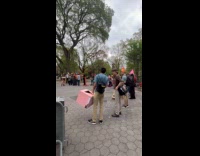 People gathered at park for gnome convention