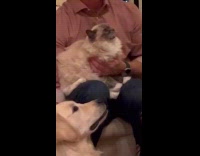 Collab Clips MPUGC - Family fails to take Christmas photo