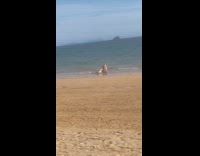 Collab IITW - Woman bikini bend pose at the beach