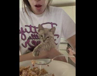 Cat slaps spoon of cereal back into bowl