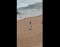 Couple asked a stranger for a beach photo shoot