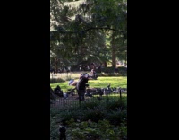 Man feeding flock of pigeons at park