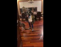 Kangaroo sleeps in bed with woman