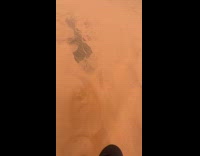 Man walks down from the sand dune