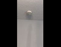 Ladybug spin around fire alarm time lapse