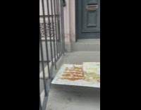 Eaten cake left on front door stoop
