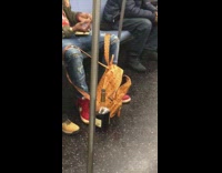 Collab Subway Creatures - Guy on subway with open backpack alcohol 