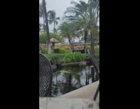 Woman in white top and a handbag poses by the plants