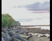 Girl red dress dance rocky beach dog