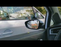 Guy feeds bird on car mirror lettuce 