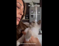 Collab PubityPets - Lady Talks to Kitten and it Meows Back