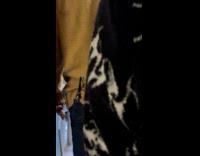 Toothbrush in pocket of man climb stairs