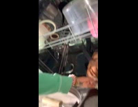 Woman shows dog crazy over dishwasher fan