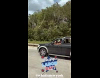 Driver of SUV hold Dildo on window