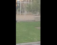 Guy doing planks pushups pelvic thrusting grass playground