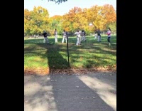 Group of people practice karate at park