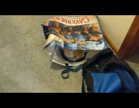 Cat Inside Bag Stares at Lady on Hallway