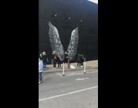 People wait for angel wings photo 