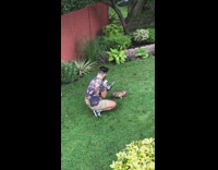 Guy photographs liquor bottle brown dog grass 